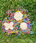The Little Garden Kit