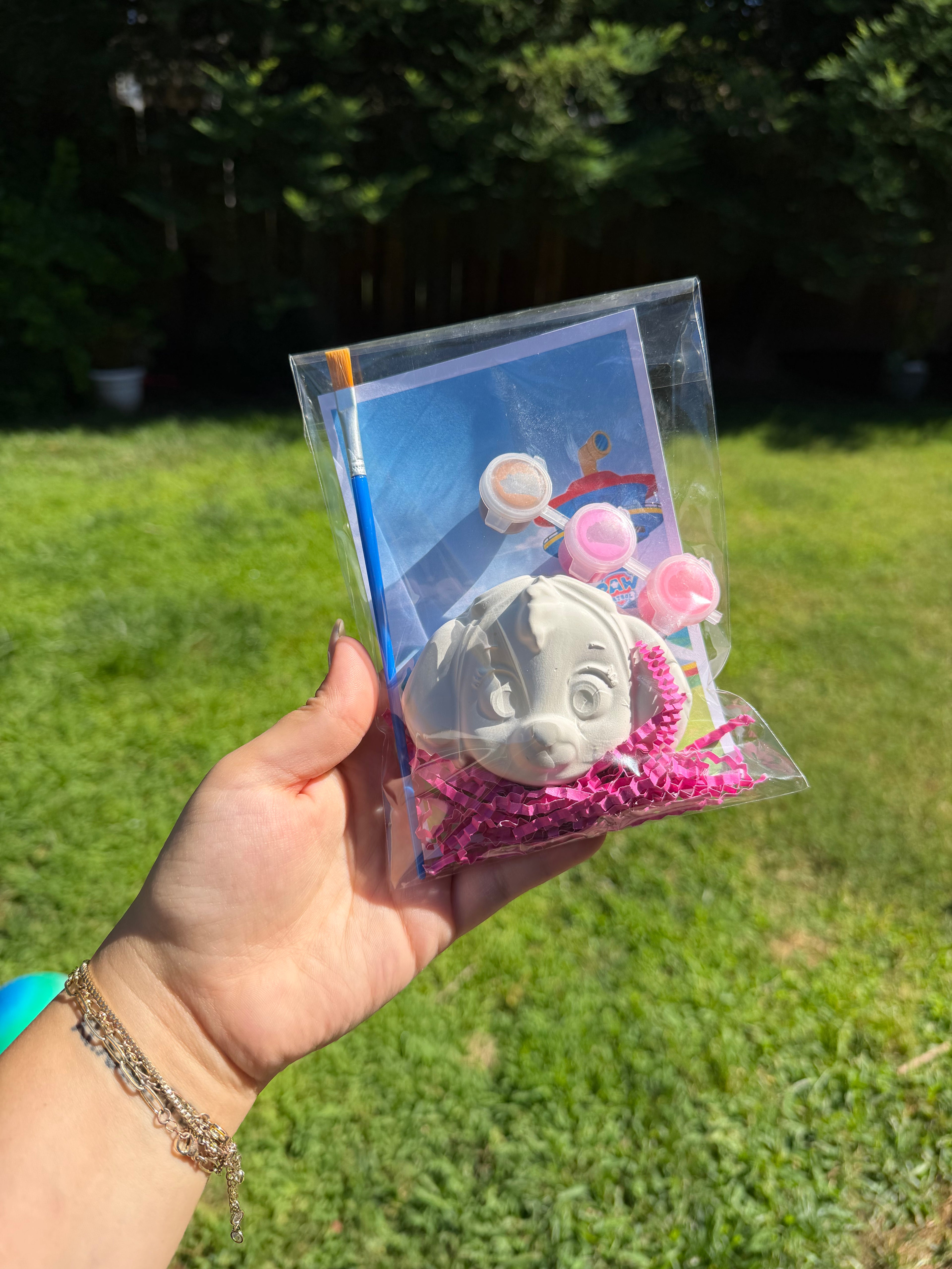 Paw Hero Party KIT