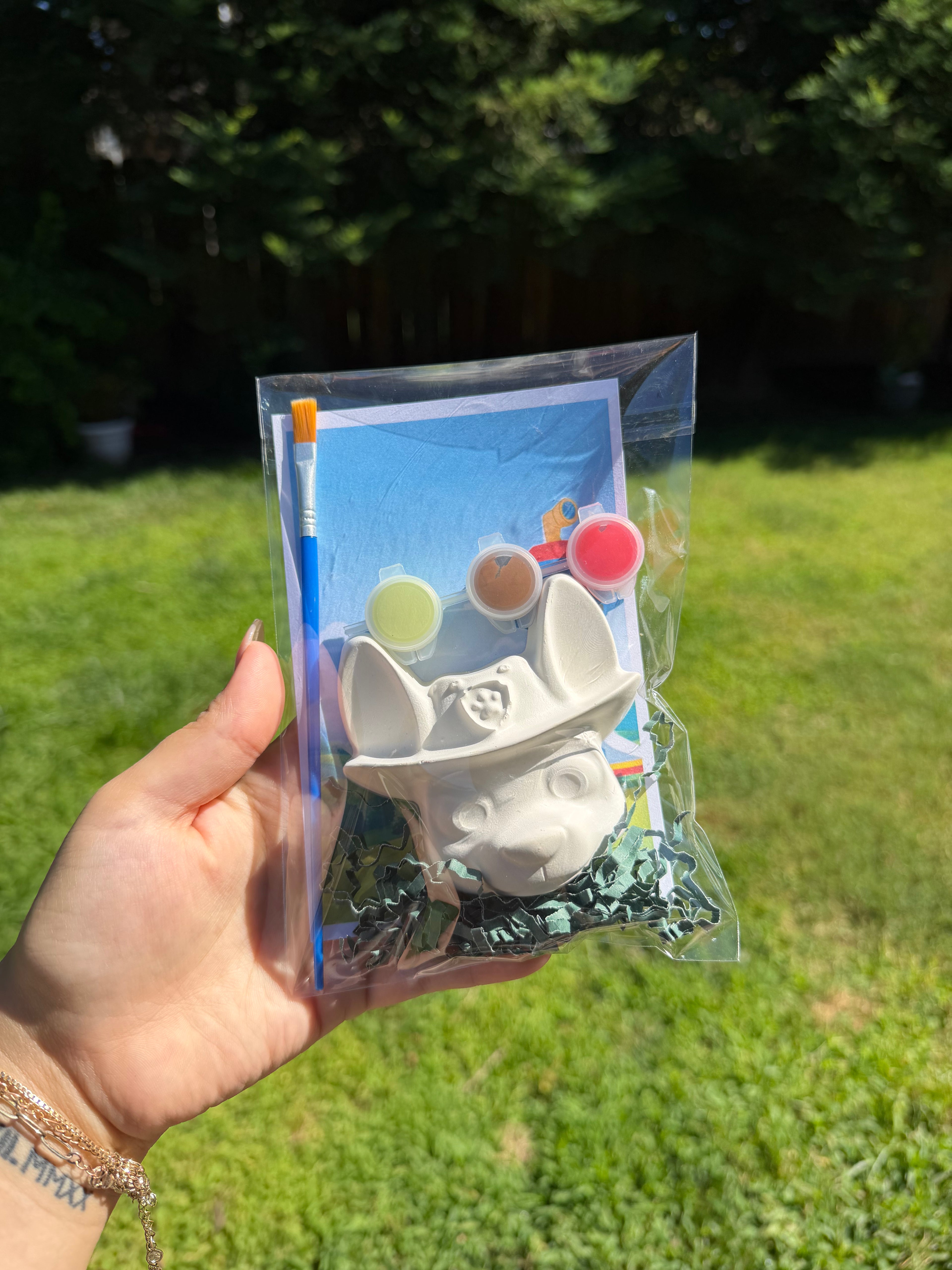 Paw Hero Party KIT
